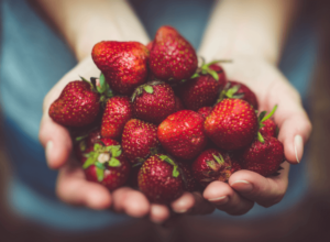 fresas-strawberrylegs