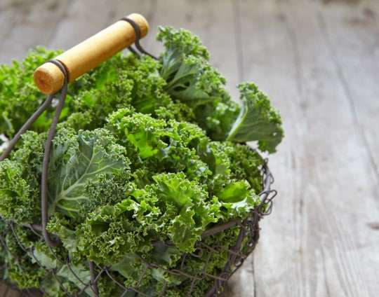 Kale para adelgazar