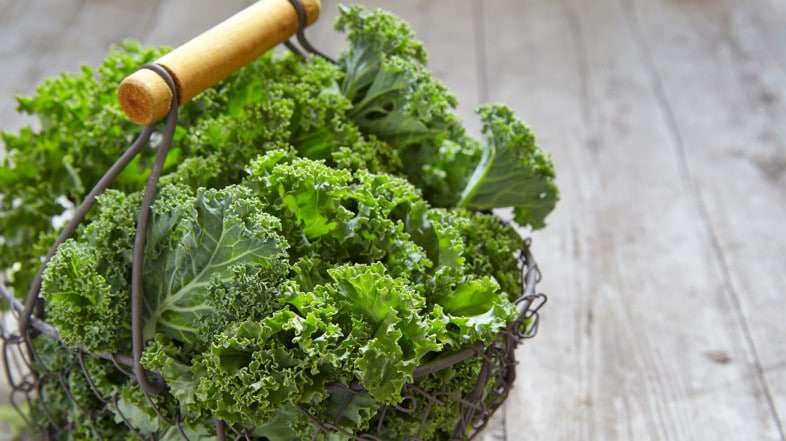 Kale para adelgazar