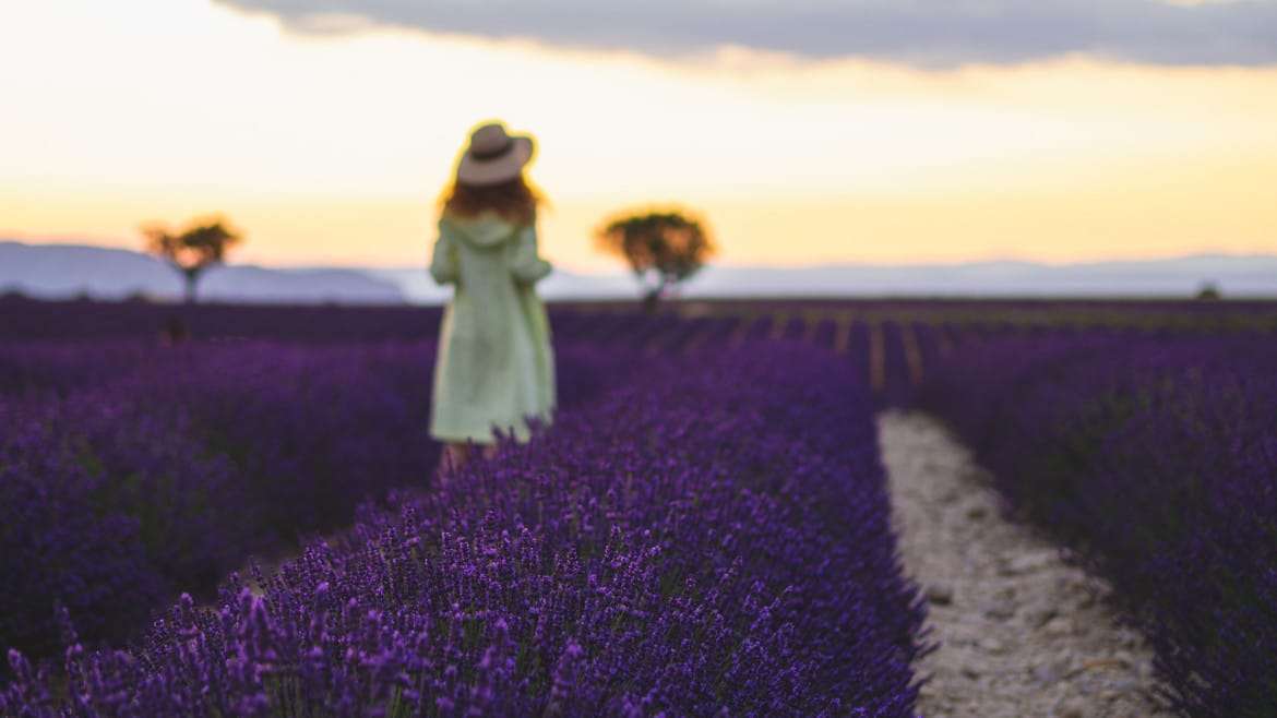 La Provenza en primavera, uno de los enclaves más importantes del sur de Francia