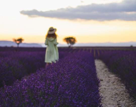 La Provenza en primavera, uno de los enclaves más importantes del sur de Francia