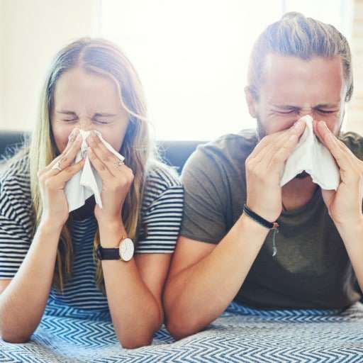 ¿Cuál es el vínculo entre microbiota intestinal y alergia?