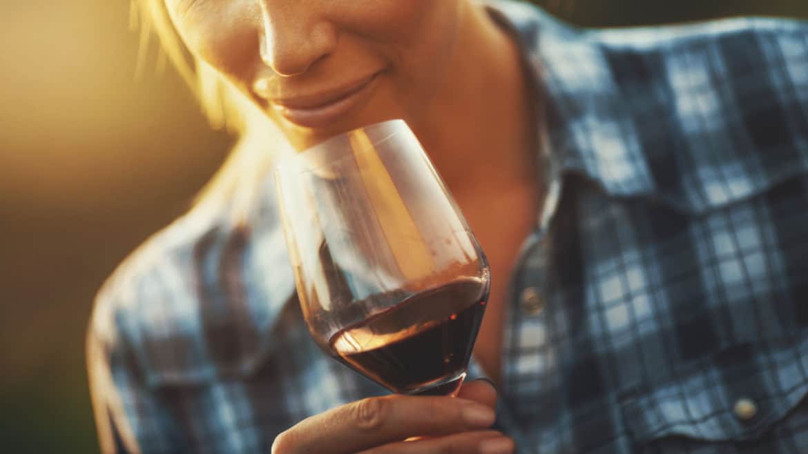 Vino tinto y sus beneficios para la microbiota intestinal