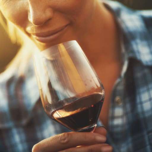 Vino tinto y sus beneficios para la microbiota intestinal