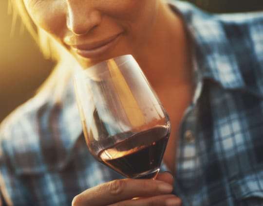 Vino tinto y sus beneficios para la microbiota intestinal