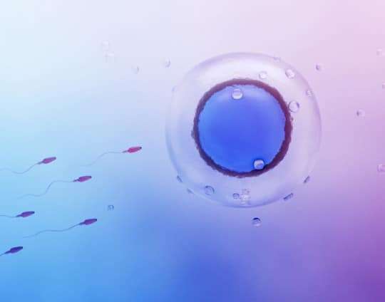 ¿Qué días son más fértiles? ¿Cómo calcular?