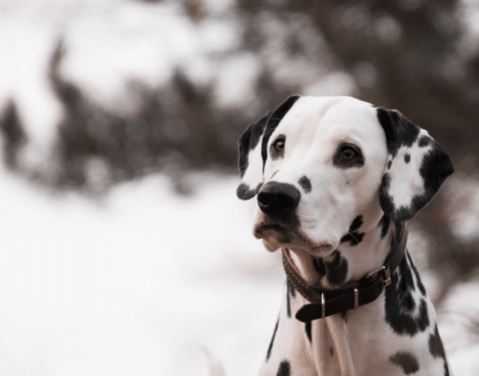 Tengo manchas en la piel ¿Qué puede ser?