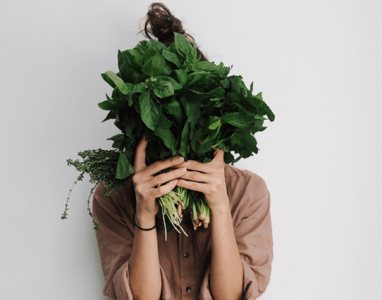 Quiero ser vegana ¿por dónde empiezo?