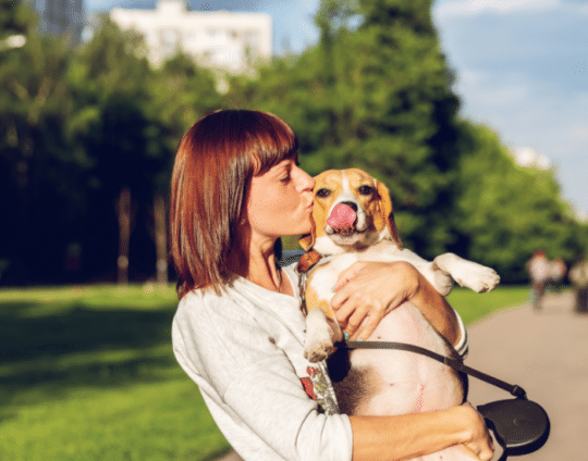 Probióticos para perros ¿Qué beneficios tienen?