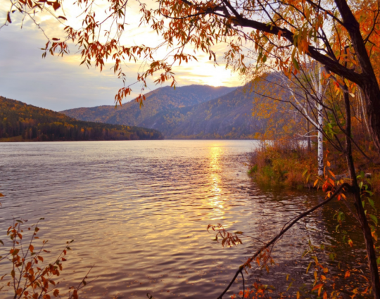 Los propósitos de septiembre