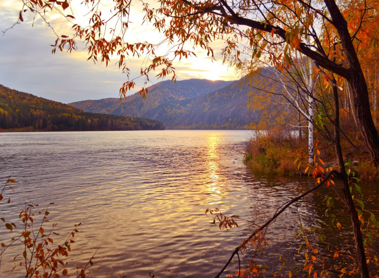 Los propósitos de septiembre